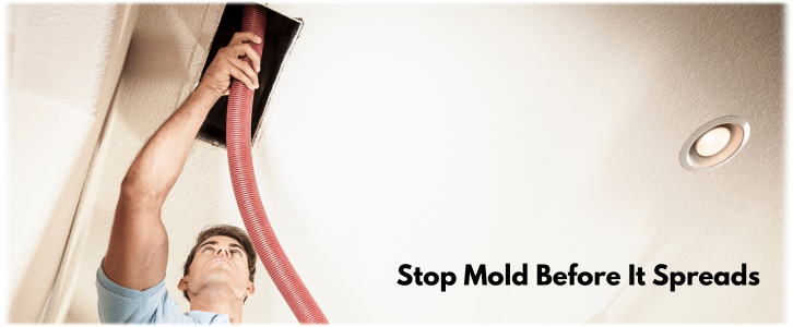 Air Duct Mold Removal in Tempe AZ